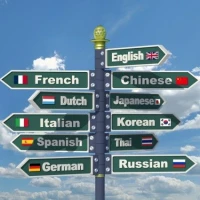Other foreign languages
