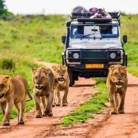 Tours & Trips