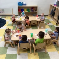 Kindergartens (ECD Centres)